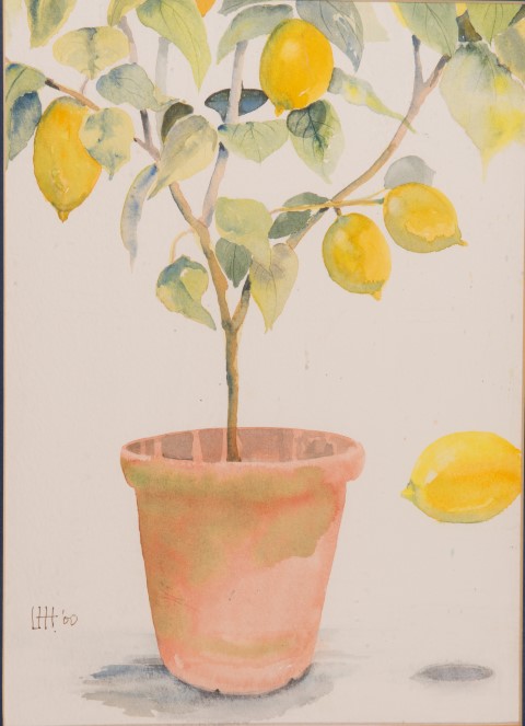 Still Life Painting 4